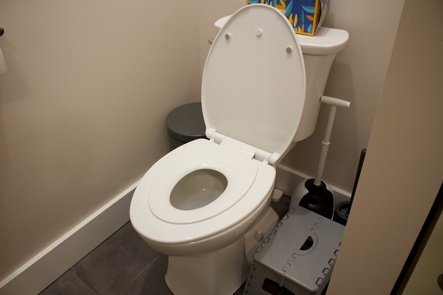 Toddler potty seat