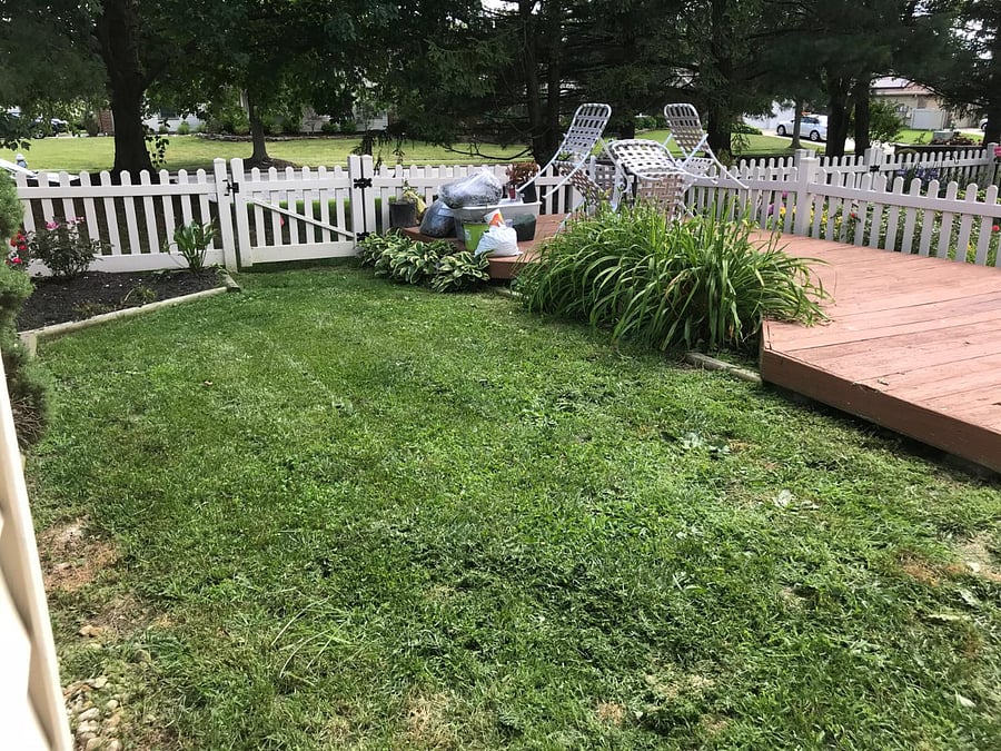 1 of 2 pictures of backyard 