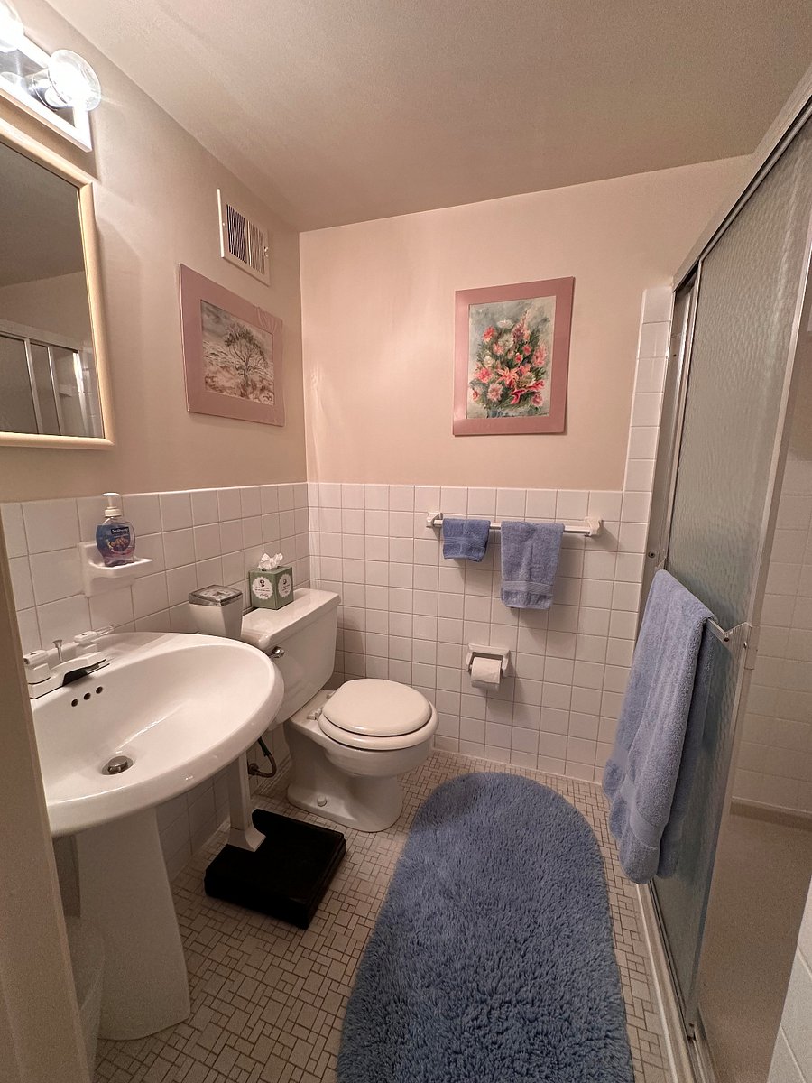 Private bathroom with large sink, mirror, cabinet, toilet, and shower.