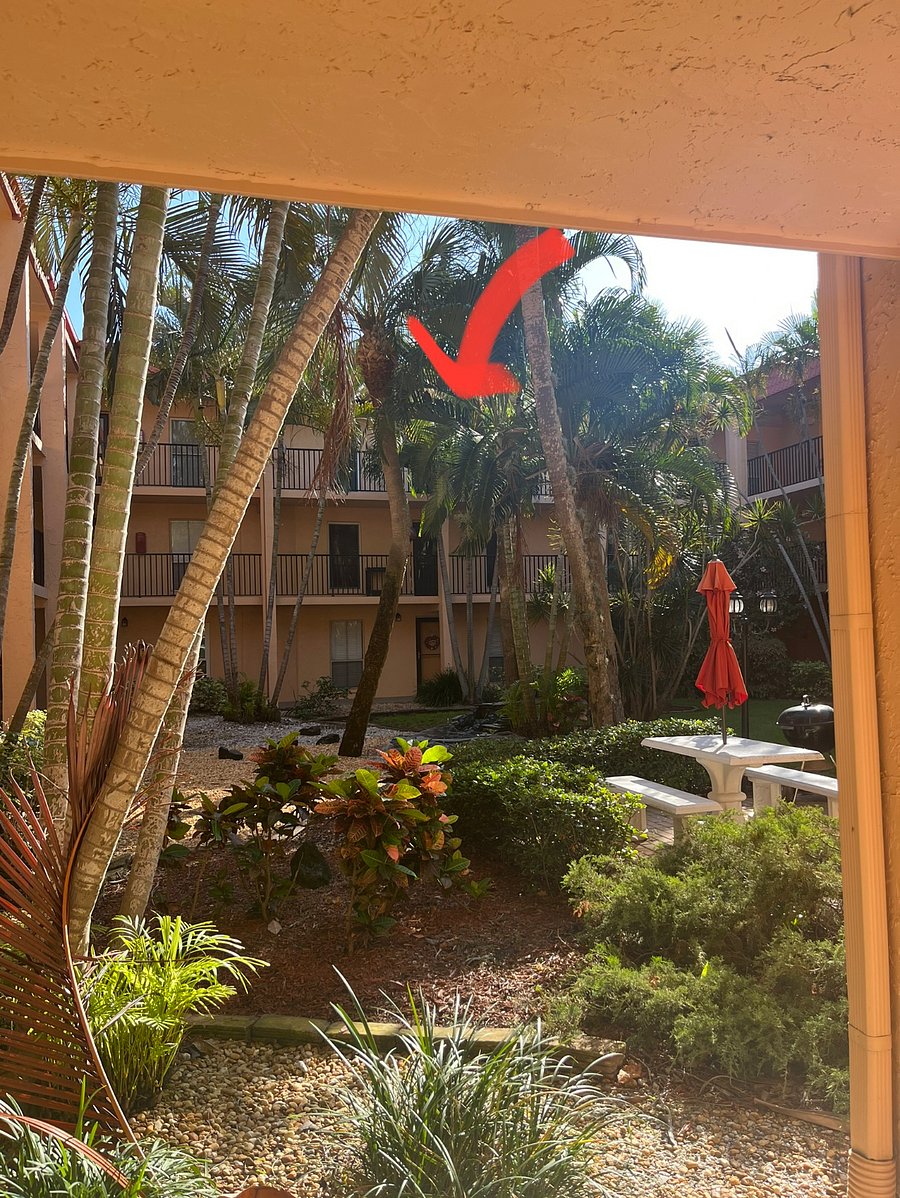 Furnished Finder property 725081_1 photo 14