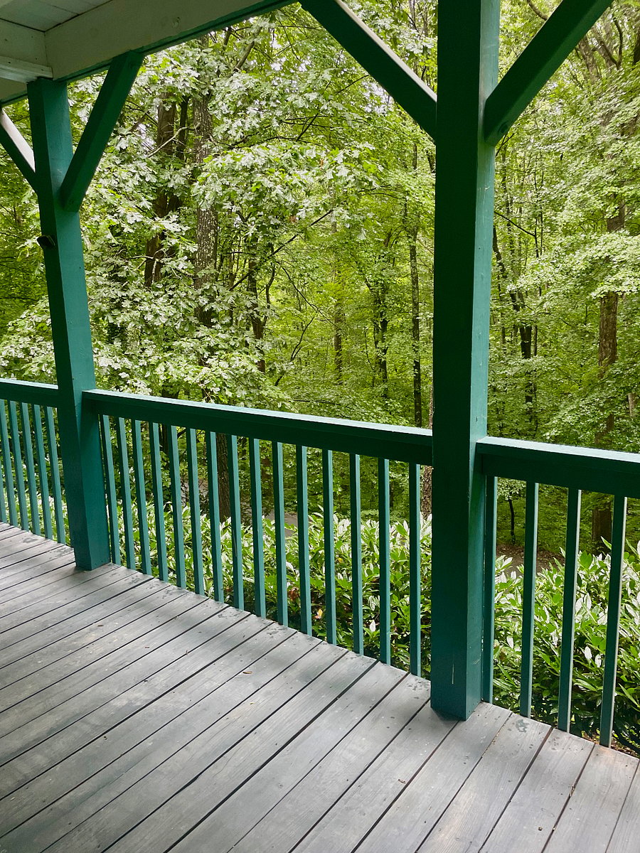 Wooded Surroundings