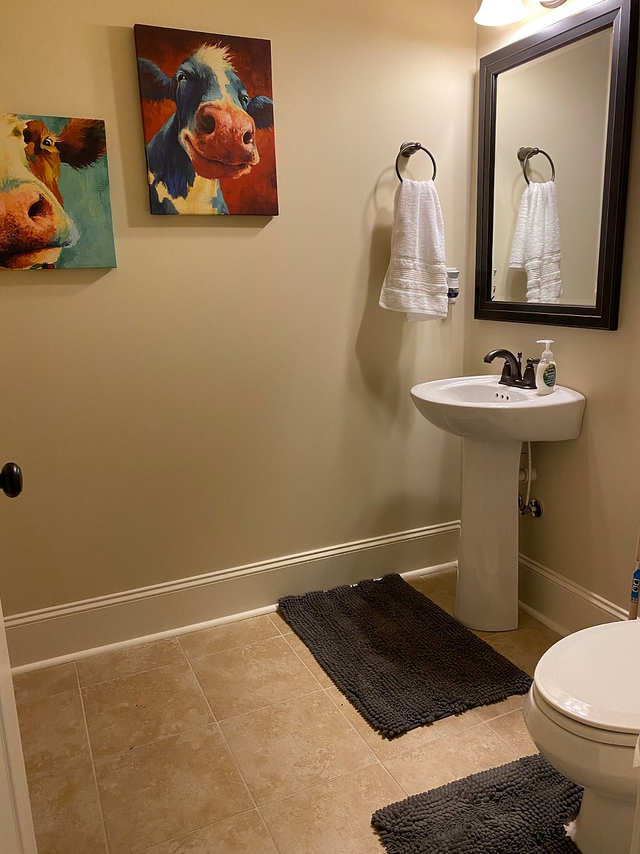 Furnished Finder property 725270_1 photo 15