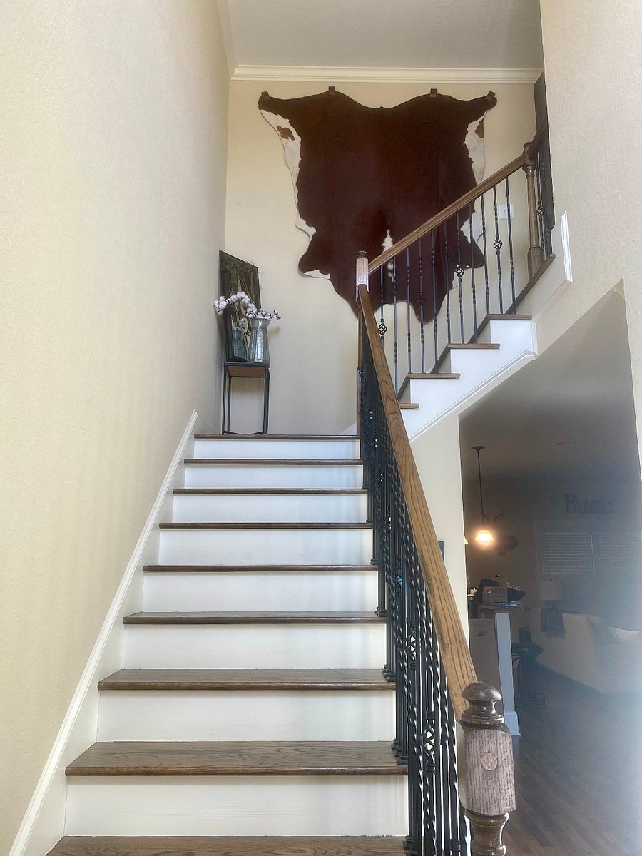 Furnished Finder property 725270_1 photo 8