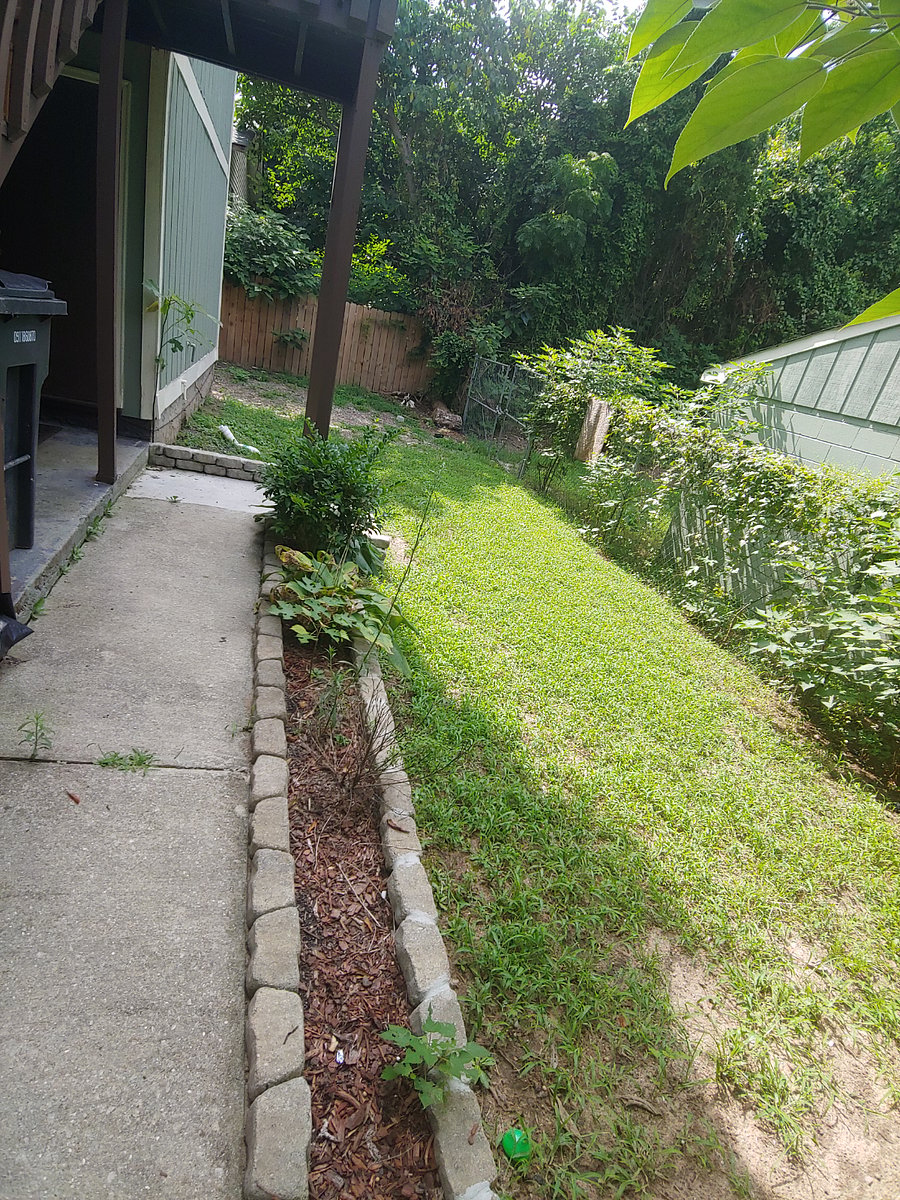 Furnished Finder property 725280_1 photo 17