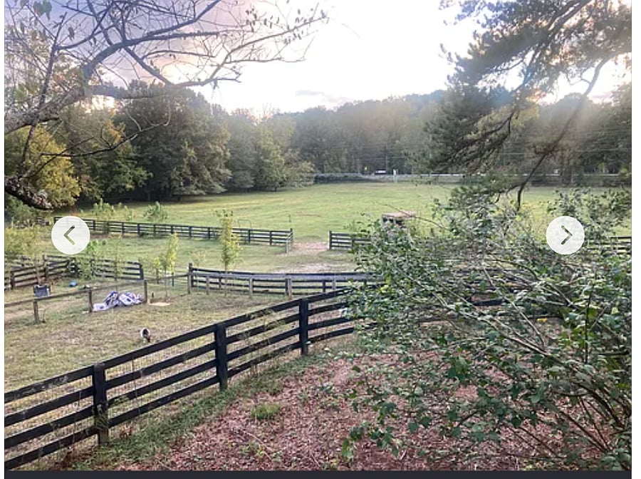 Lovely views of pastures from home. 