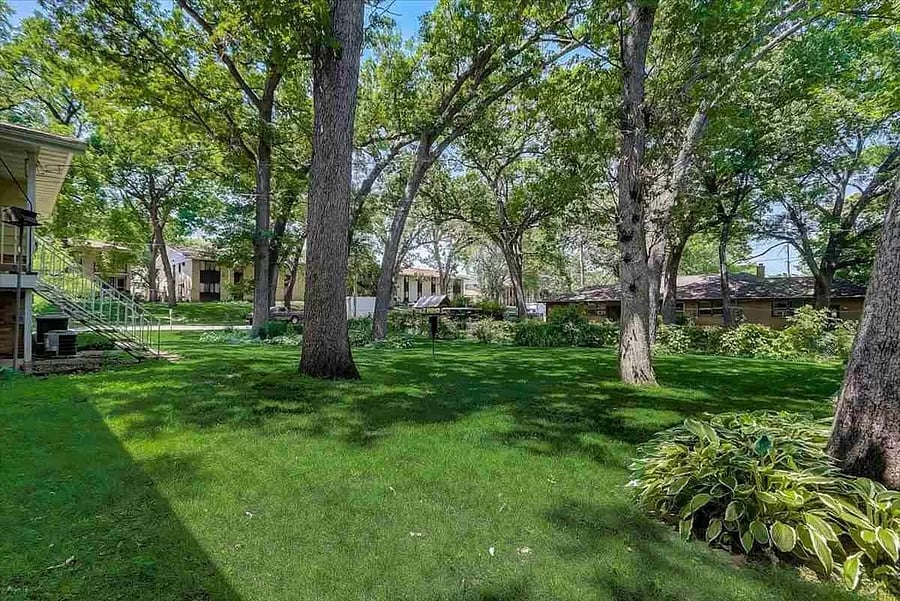 Large yard