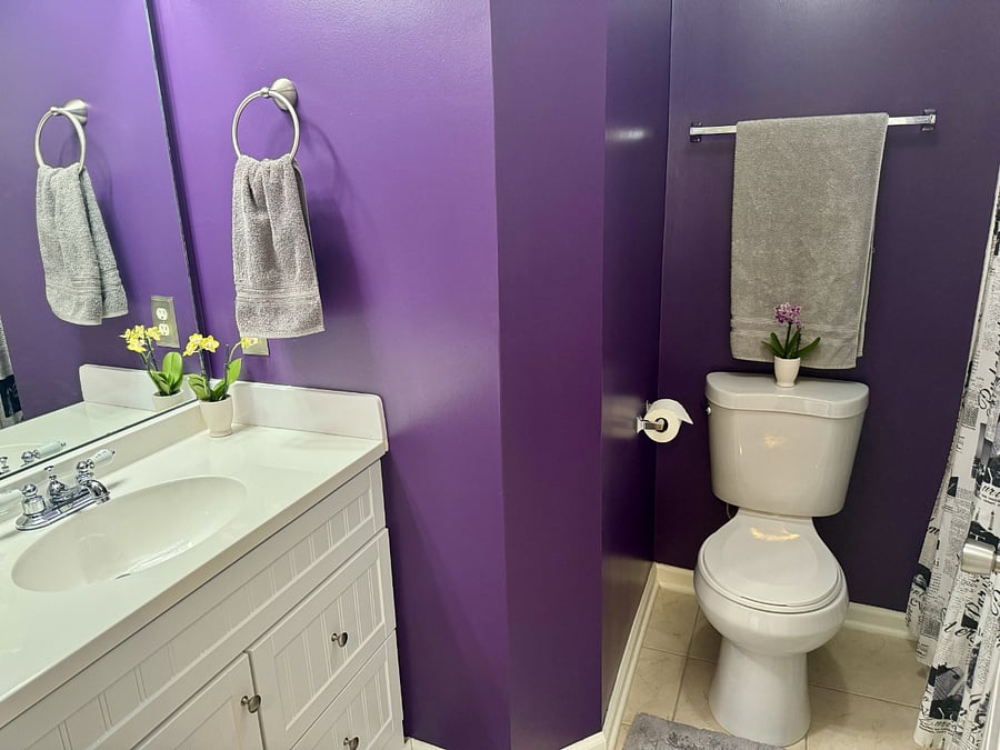 Furnished Finder property 725599_2 photo 26