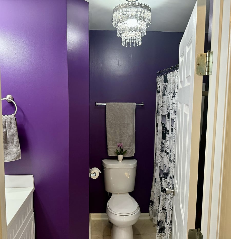 Furnished Finder property 725599_2 photo 27