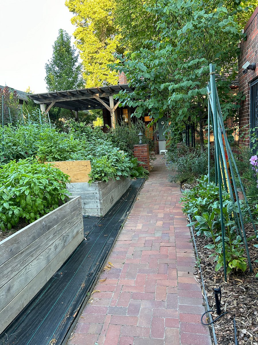 Path to back alley through vegetable garden
