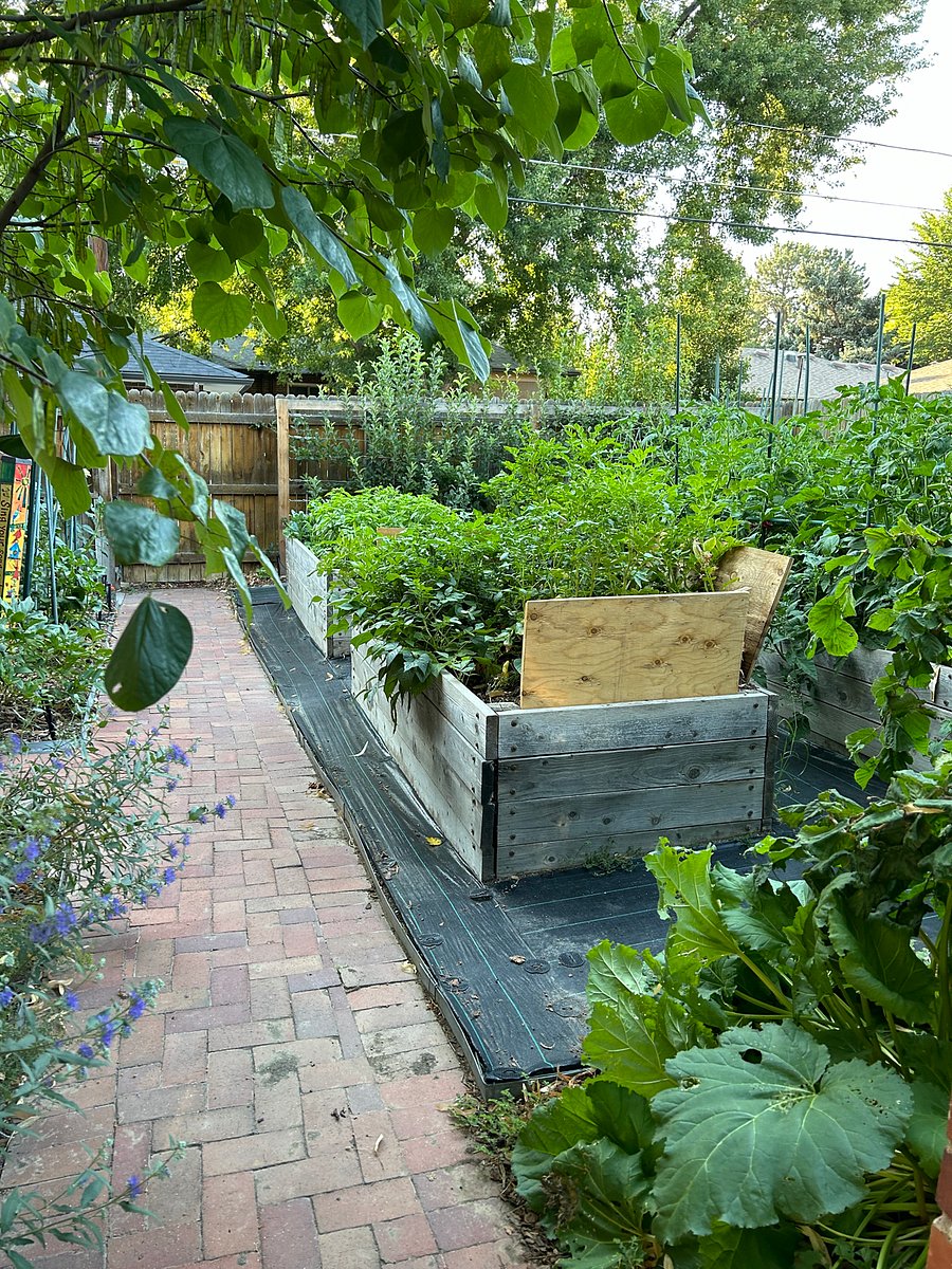 Back path to vegetable garden