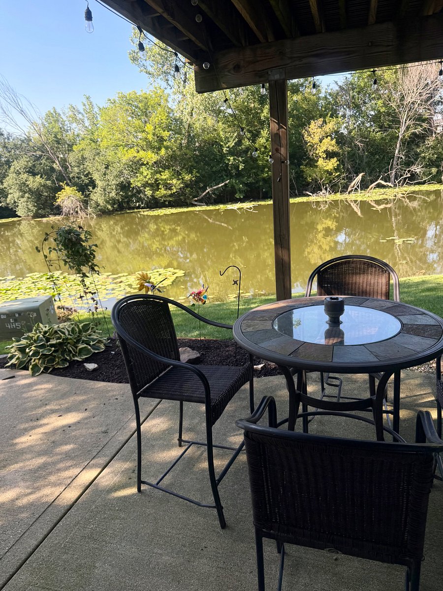 Furnished Finder property 725784_1 photo 17