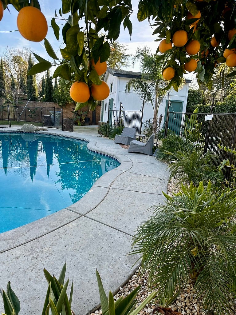 Furnished Finder property 725853_1 photo 38