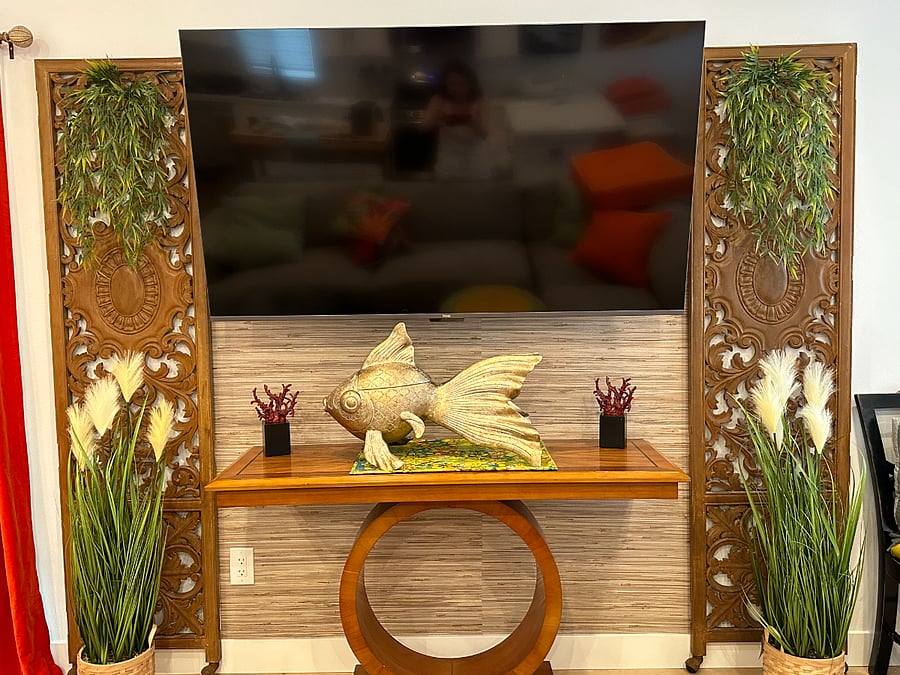 Lage screen Smart TV