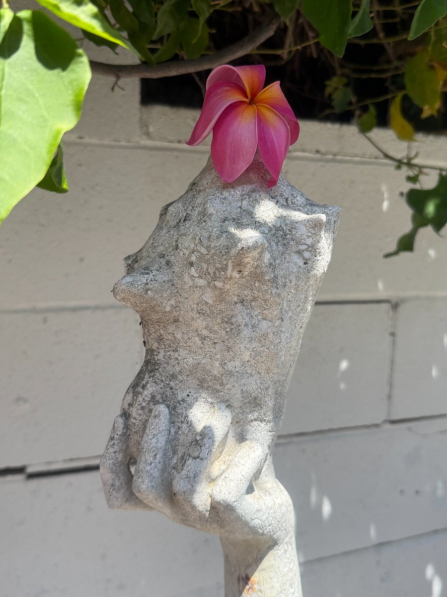 She gives Aloha to all.