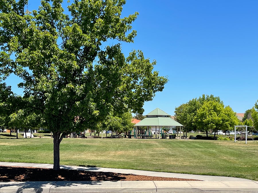 Front of the house is overlooking the Park area