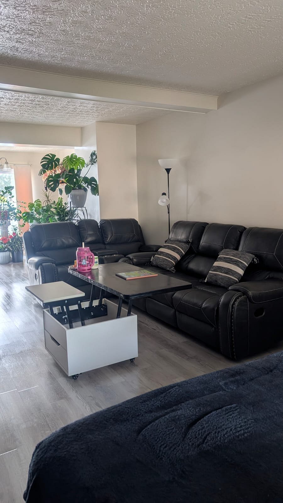 Furnished Finder property 726166_1 photo 4