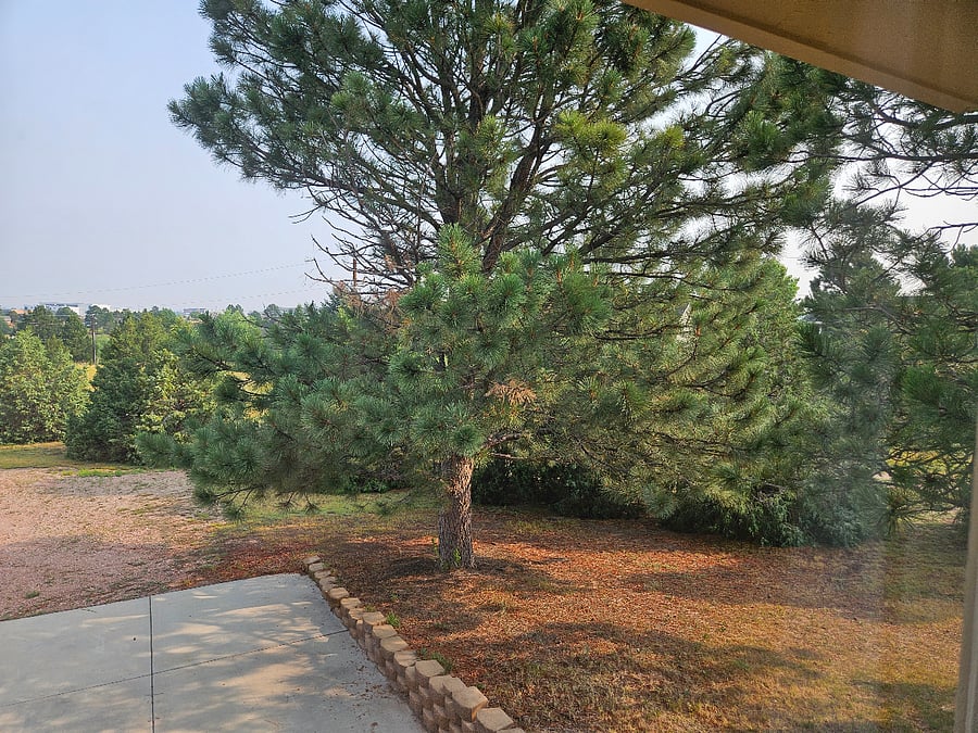 Furnished Finder property 726374_1 photo 11