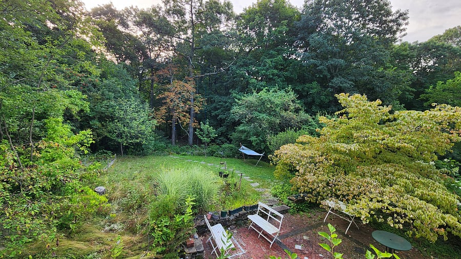 Furnished Finder property 726564_1 photo 10