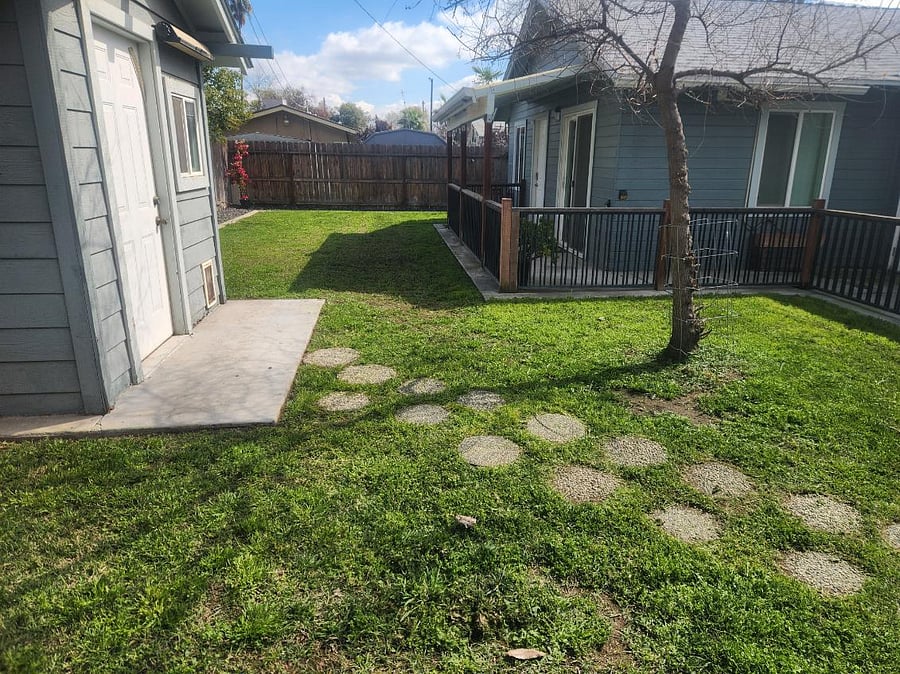 Backyard