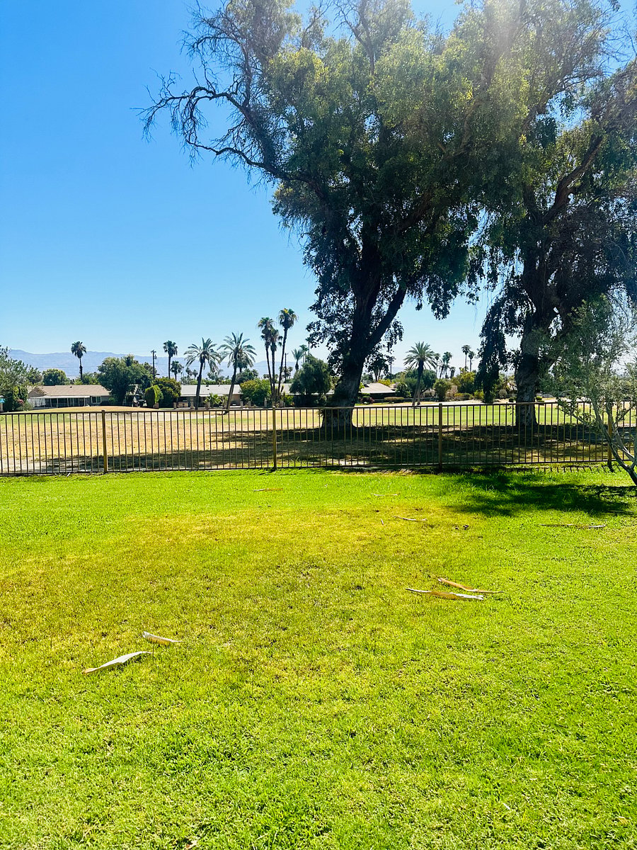 Backyard and Golf Course View