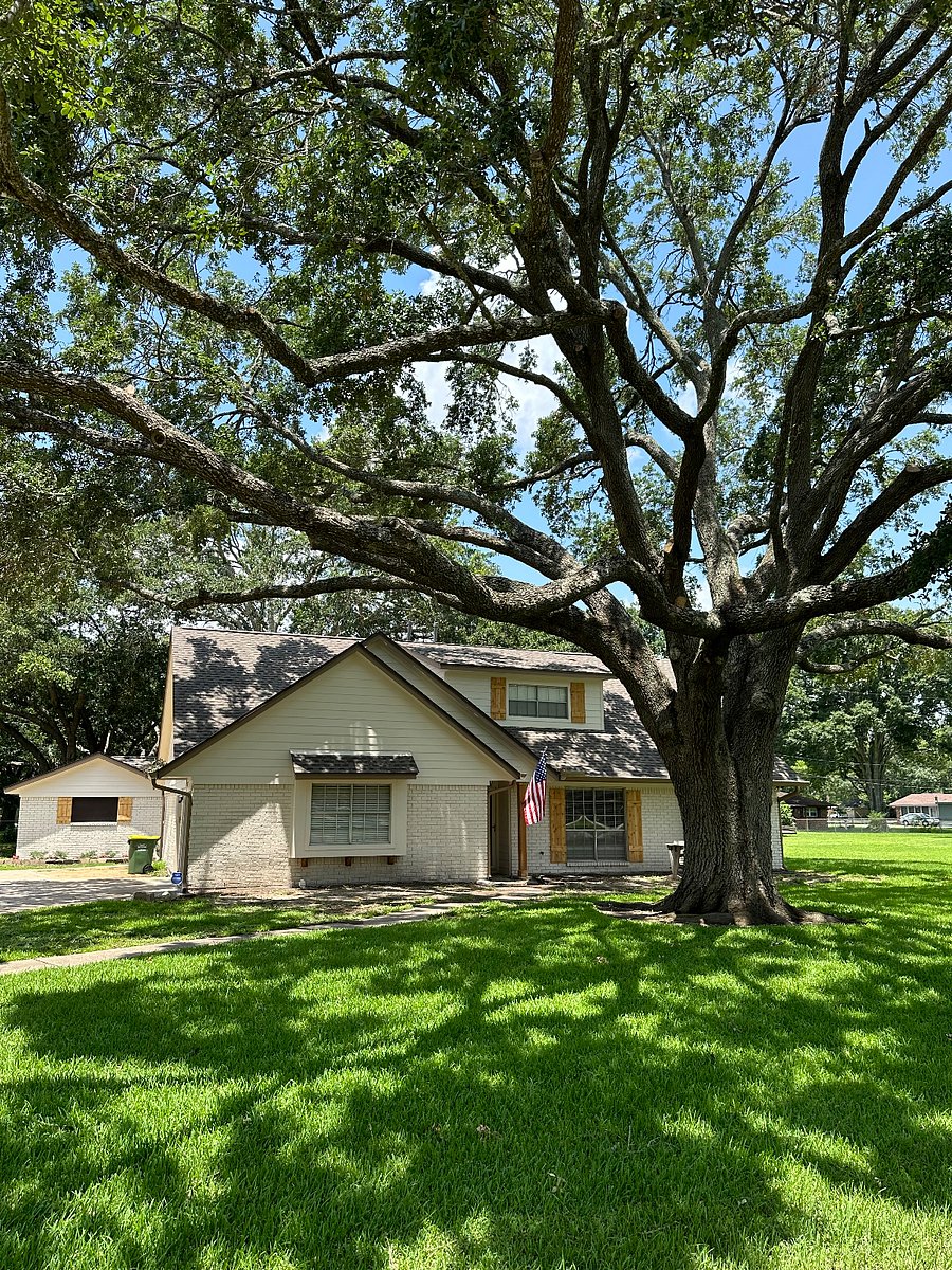 Furnished Finder property 726771_1 photo 11