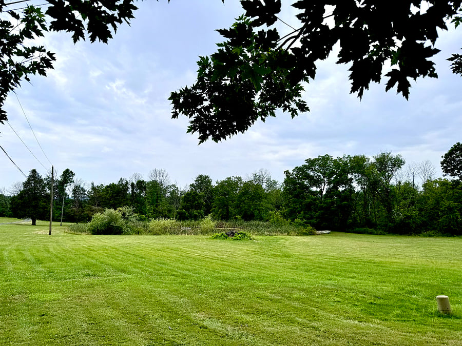 Scenic Pond View