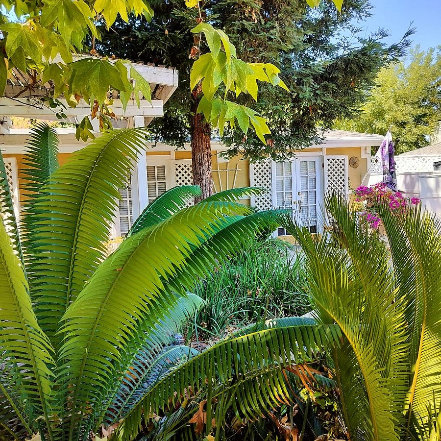 Nestled in a park-like setting.