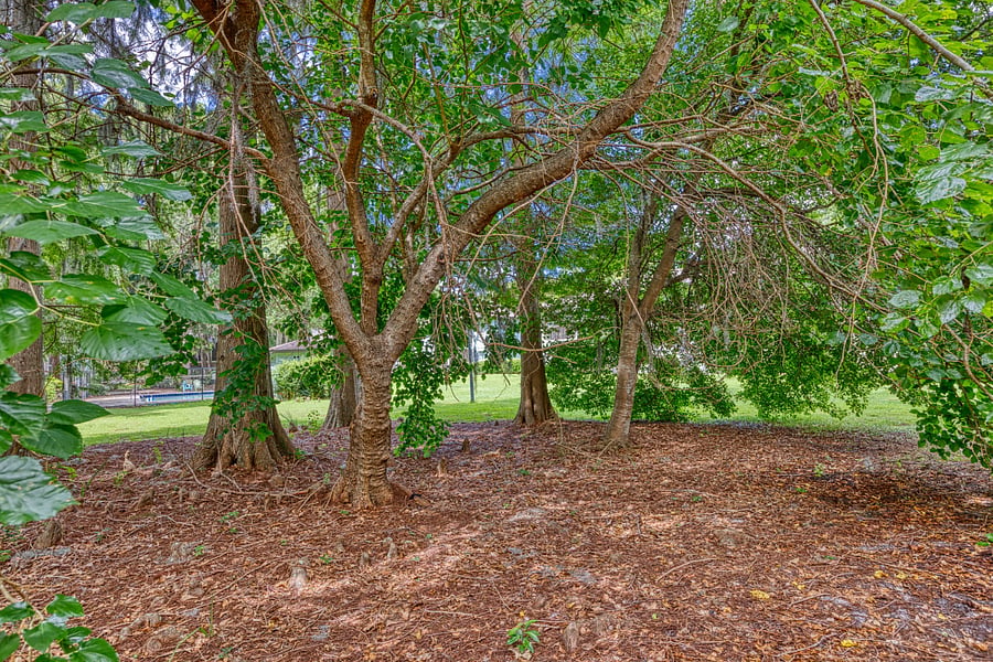 Exterior Yard