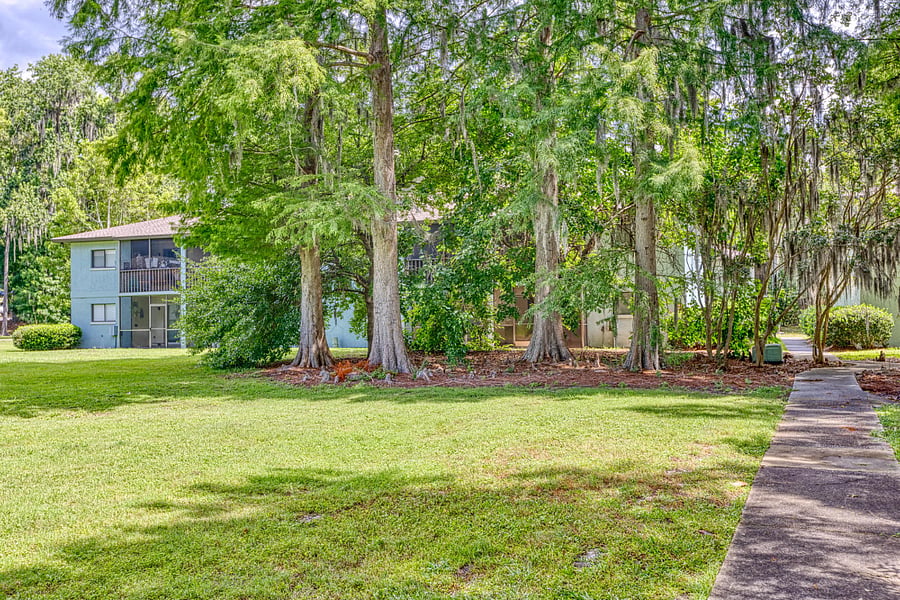 Exterior Yard