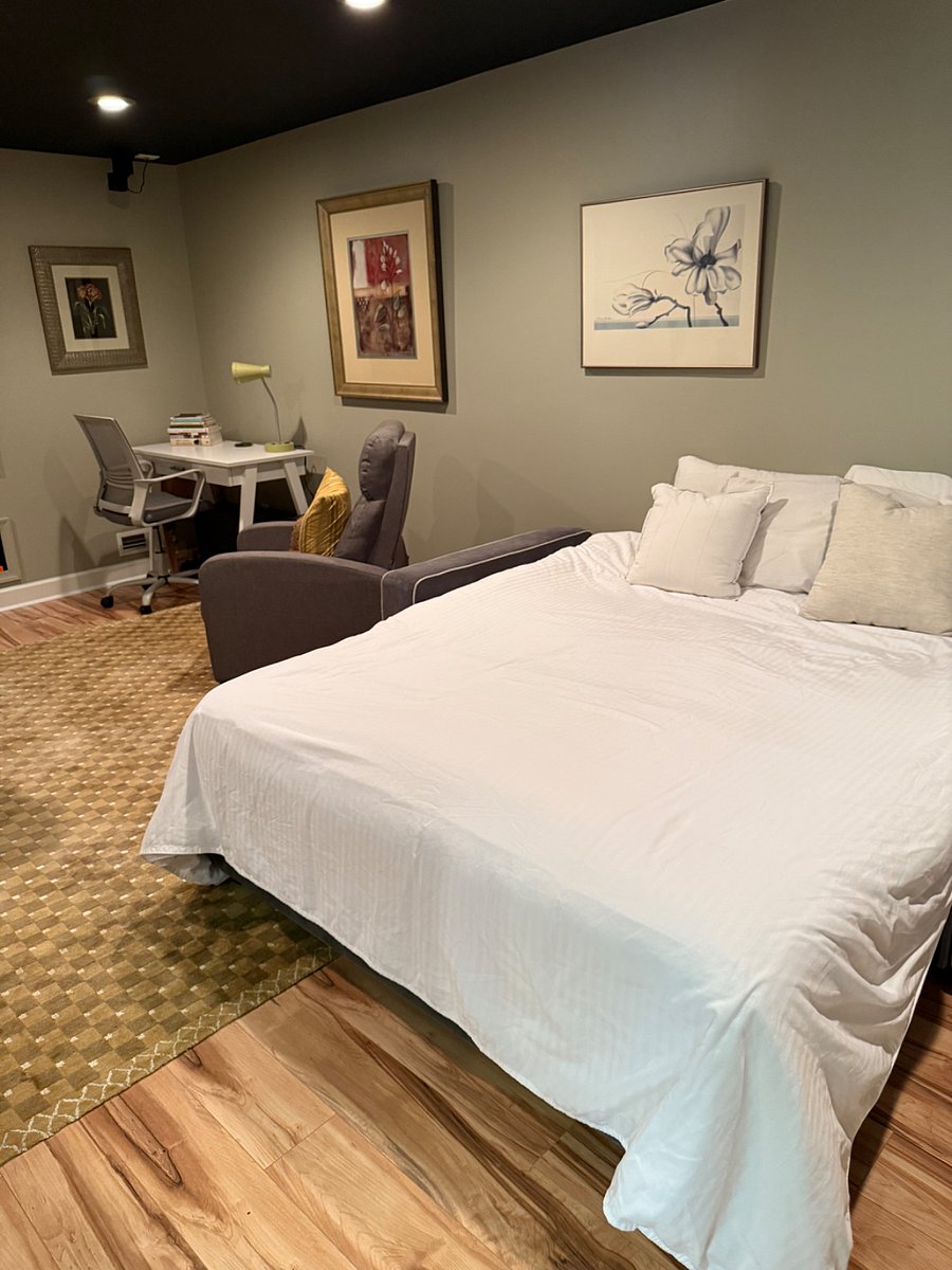 Queen pullout couch in the private family room
