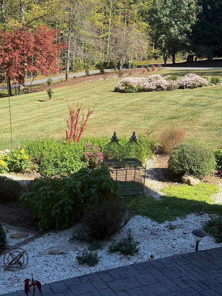 View of expansive front yard