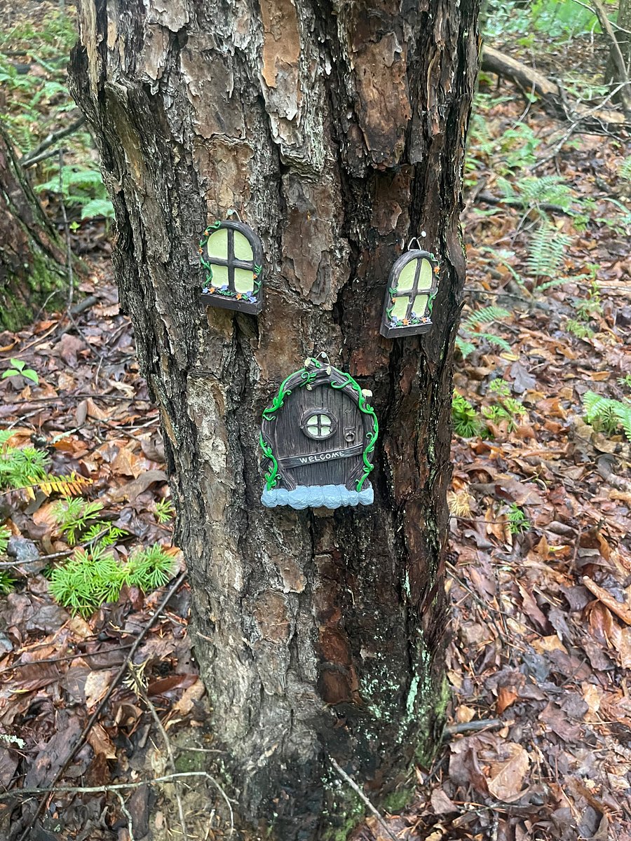 1/2 mile fairy trail loop in the woods behind the apartment