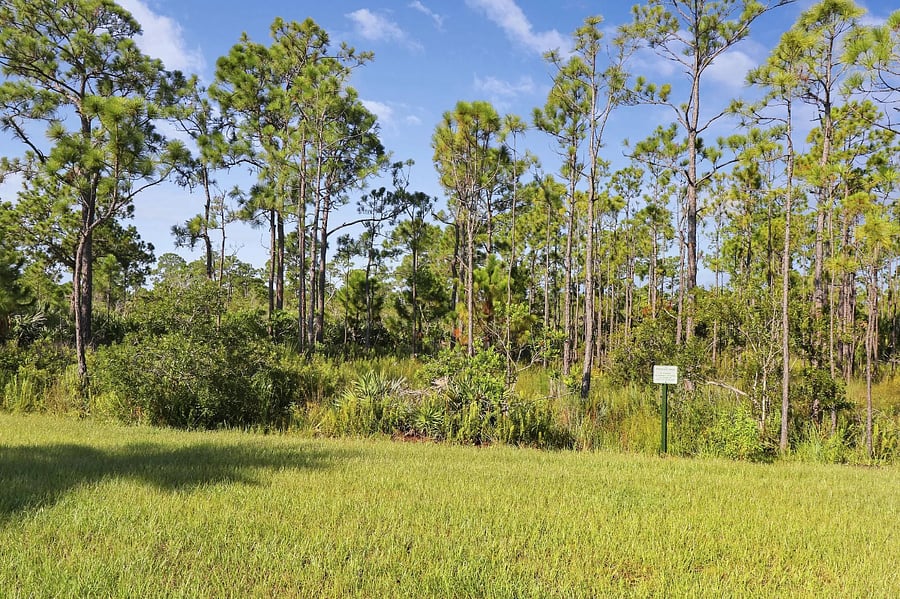 Furnished Finder property 728050_1 photo 22