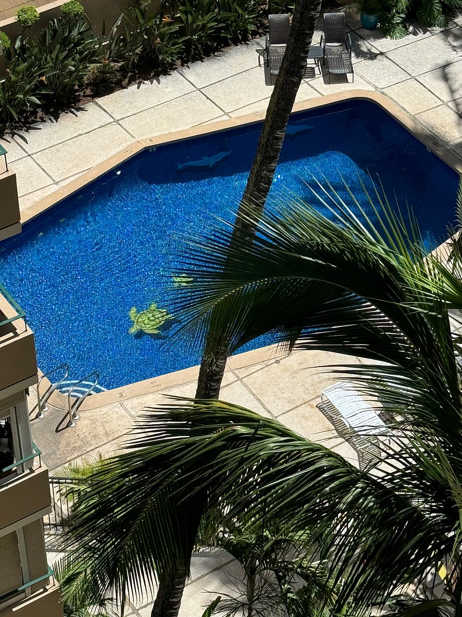 Furnished Finder property 728186_1 photo 13