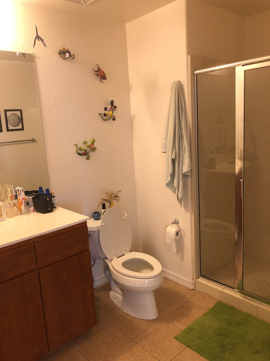 Furnished Finder property 728273_1 photo 14