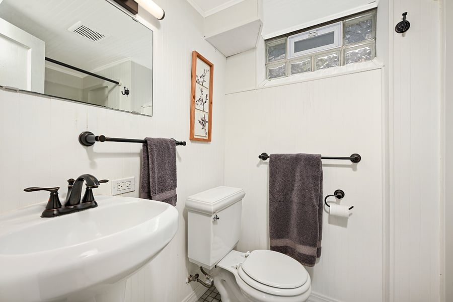 Lower level bathroom