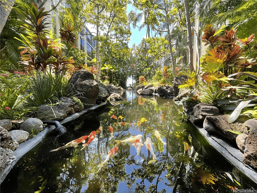 Enjoy the lush tropical gardens and koi ponds on our grounds. 