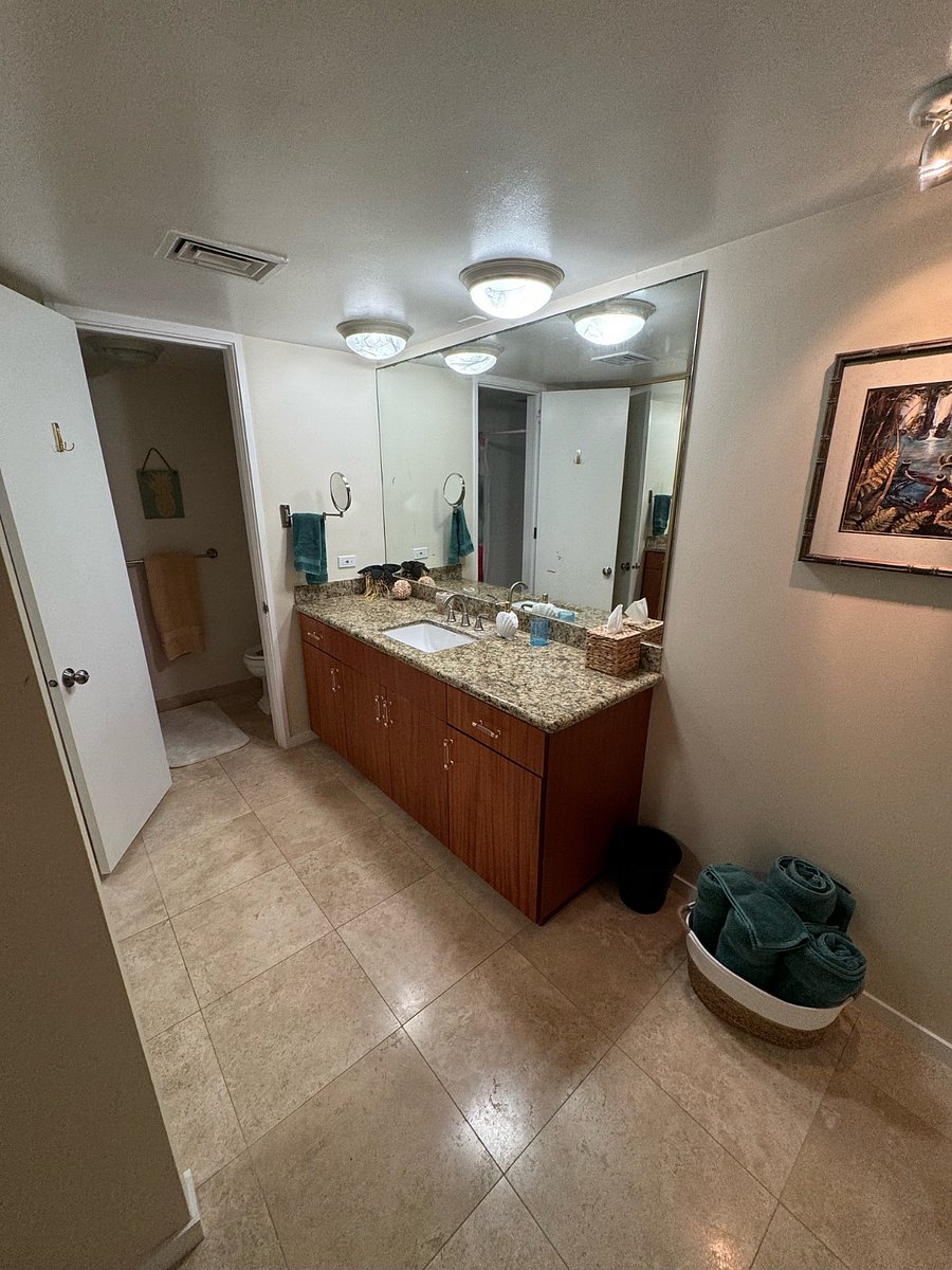 Get ready in the primary en suite bathroom with a full wall mirror and mirrored closets behind for a 360 view.