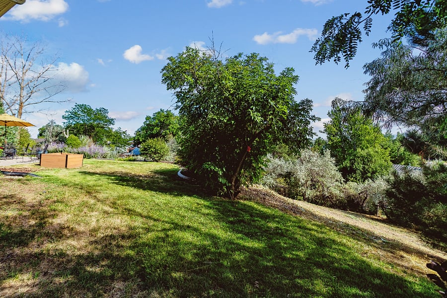 Backyard below patio with native grass
