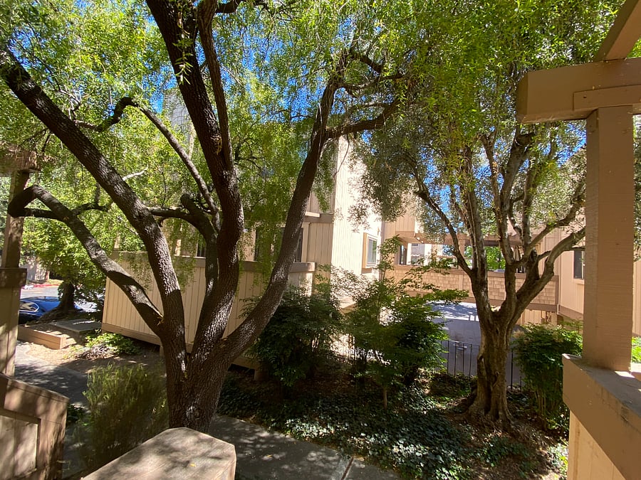 Furnished Finder property 728611_1 photo 9