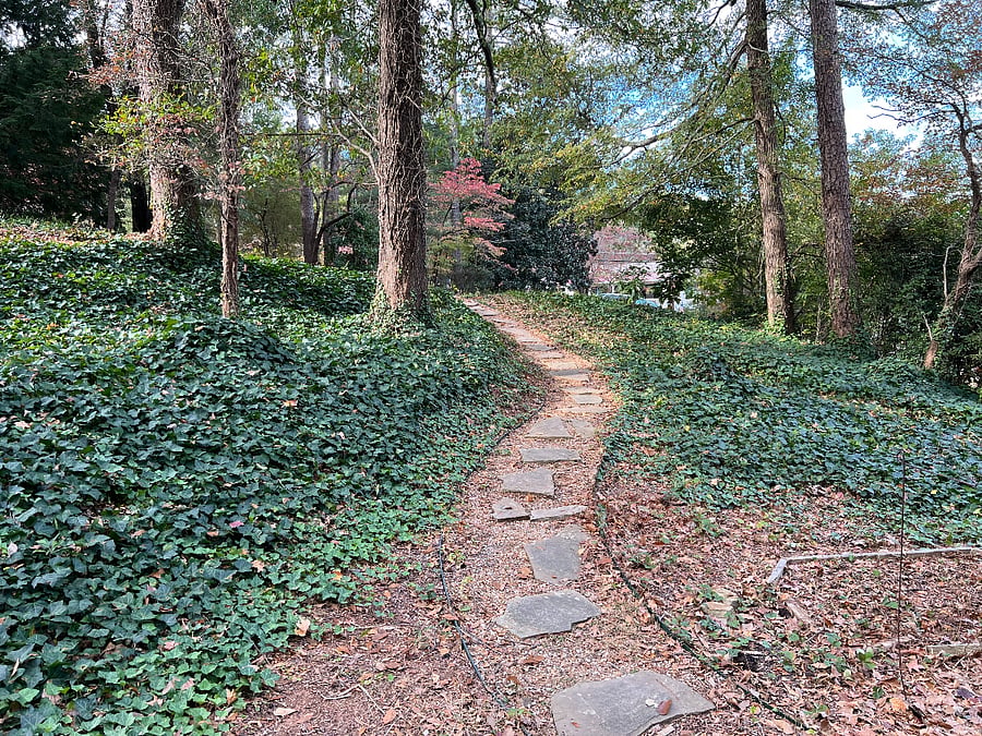 Walking path from street parking to house
