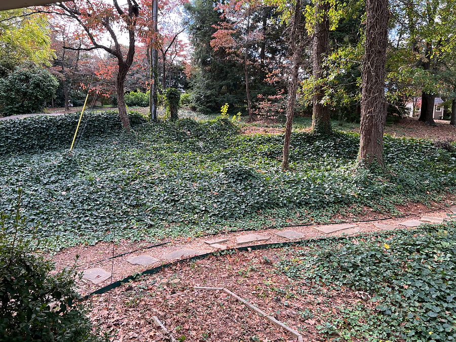 View of footpath from street