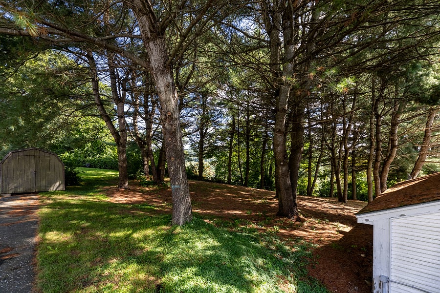 Furnished Finder property 728656_1 photo 12