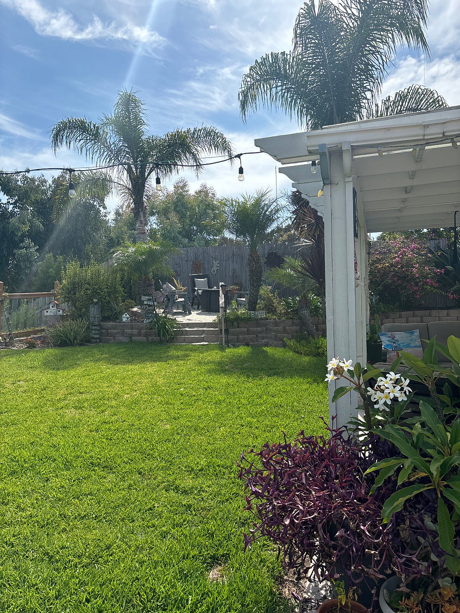 Furnished Finder property 729097_1 photo 9