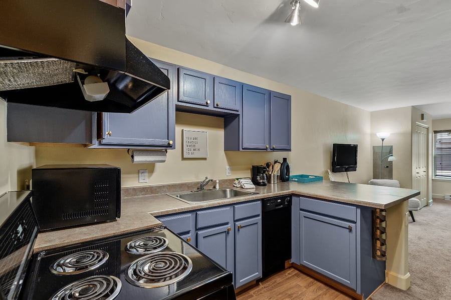 Furnished Finder property 729202_1 photo 10