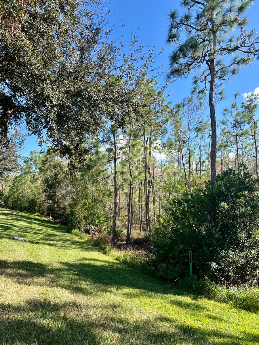 Furnished Finder property 729518_1 photo 13