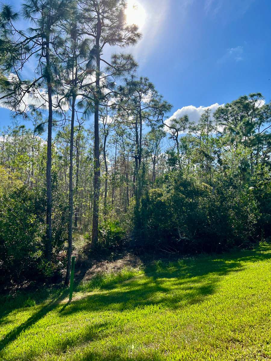 Furnished Finder property 729518_1 photo 14