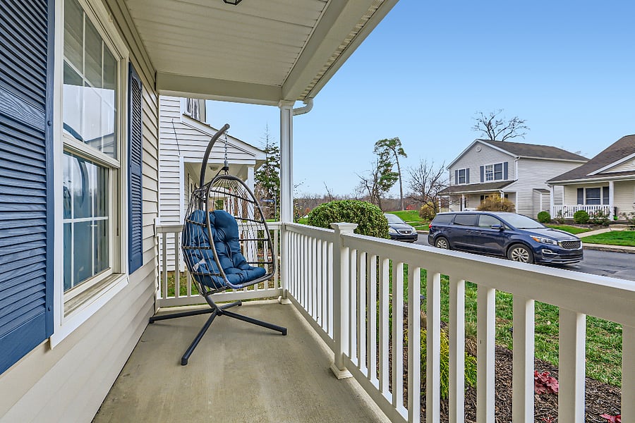 Porch- Egg chair swing