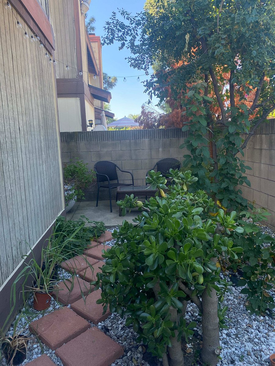 Furnished Finder property 729922_1 photo 11