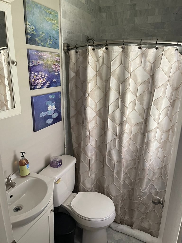 Master bathroom